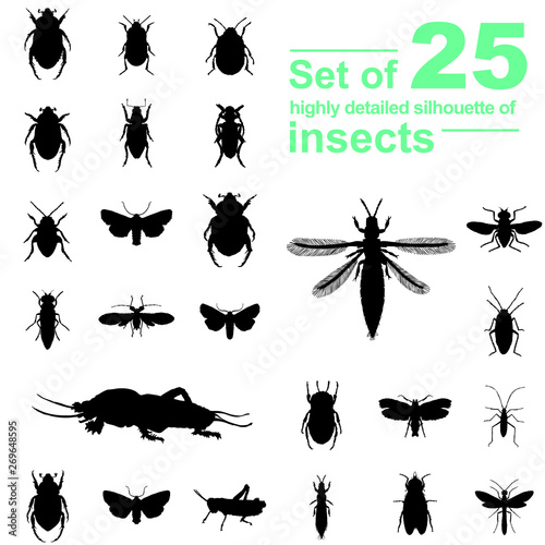 Set of insect silhouettes isolated on white background © Pavolia
