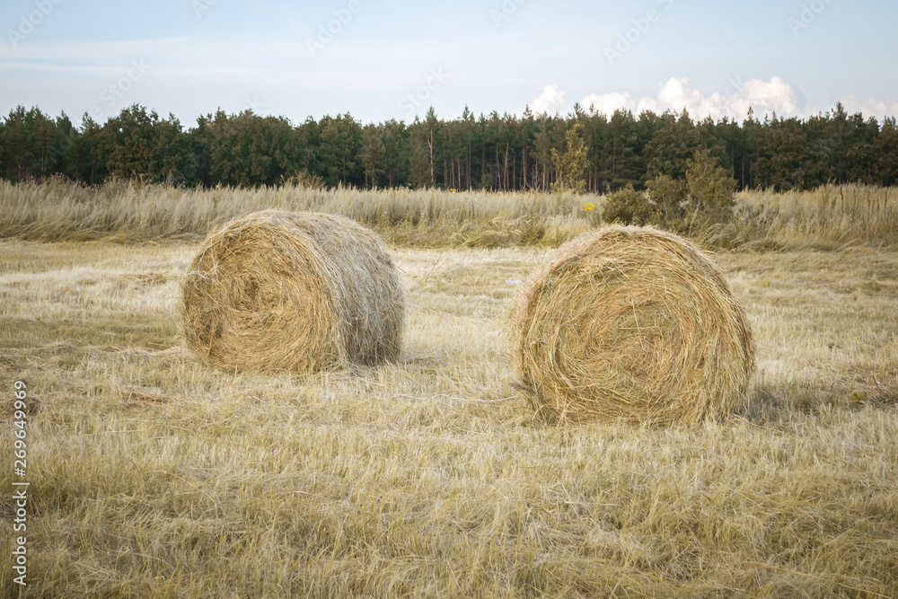 Straw bales on farmland with blue cloudy sky.