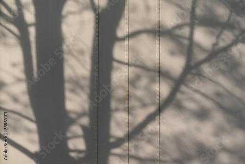 abstract background shadow of tree branches on grey metal surface