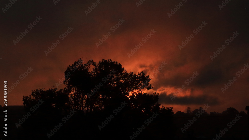 Silhouette of tree with Red sunset