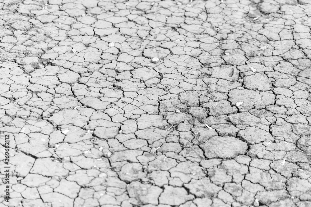 Cracked soil as an abstract background