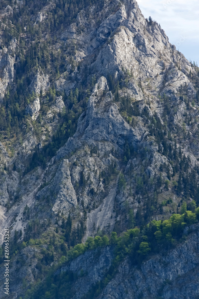 Traunstein Mountain Detail, Salzkammergut Austria