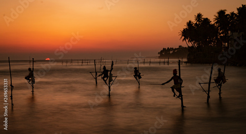 Stilt Fishermen in Sri Lanka Working For Dinner at Sunset