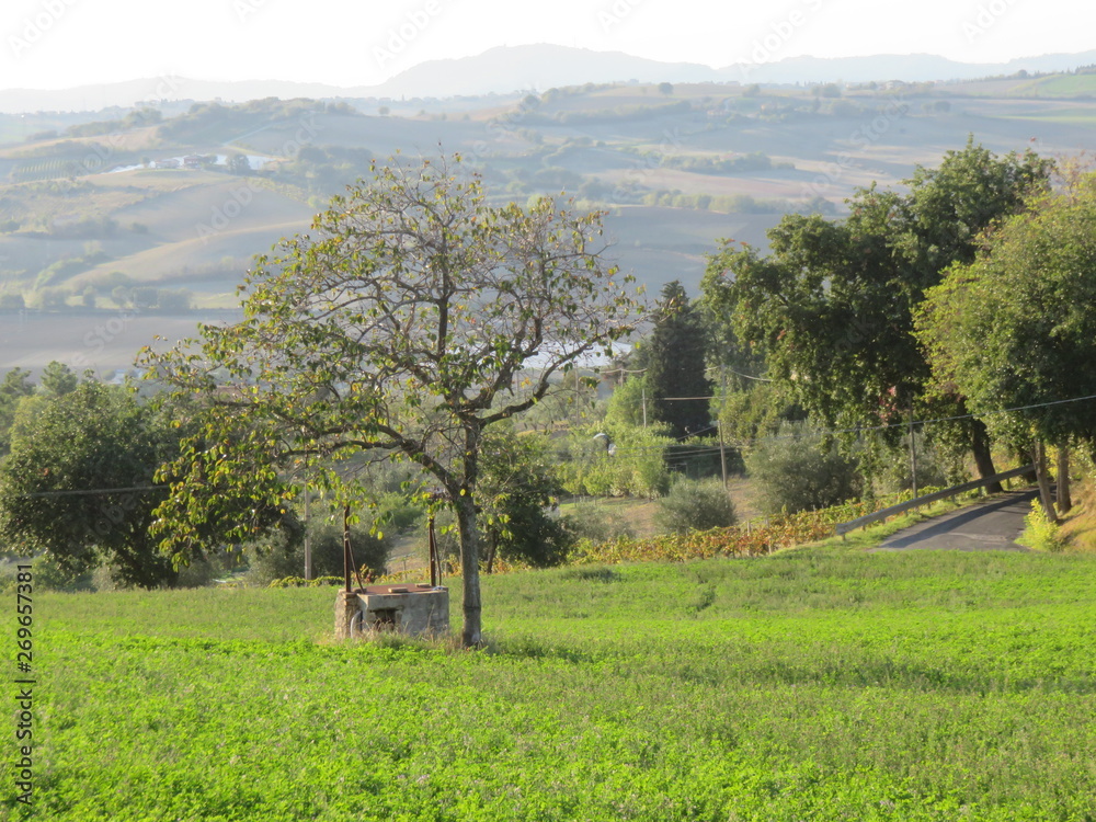 Obraz premium Paeaggio naturale