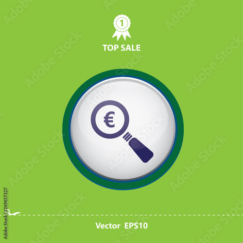 Blue euro money search icon in green circle
