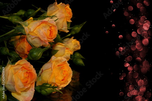 beautiful yellow roses with buds and green leaves on a shiny background