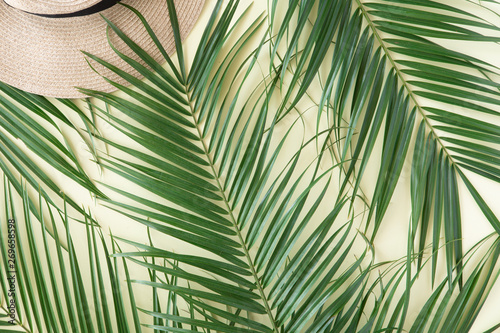 Tropical leaves Monstera on pink background. Flat lay, top view