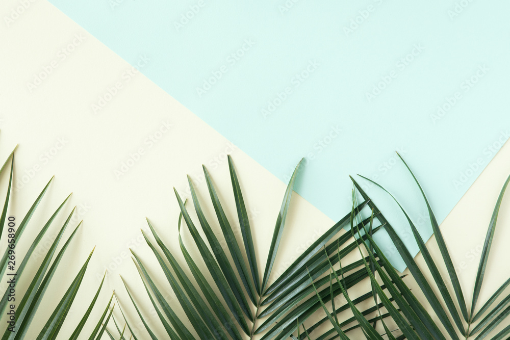 Tropical background. Tropical palm leaves on pastel yellow and blue ...
