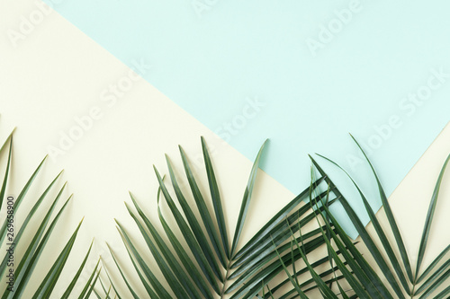 Tropical background. Tropical palm leaves on pastel yellow and blue backgroun...
