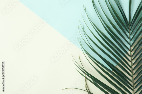 Top view of green tropical leaves on yellow and green background. Flat lay. Summer concept with palm tree leaf, copyspace