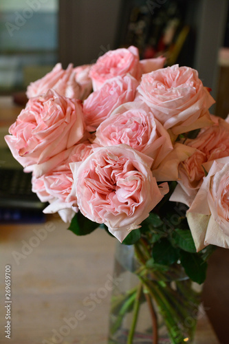 anemone, roses,Ranunculus,mattiola, Tulip,evkalipt,Narcissus, bouquet, wedding, flowers, rose, flower, roses, pink, white, love, bride, floral, bridal, marriage, bunch, celebration, beautiful, romance photo