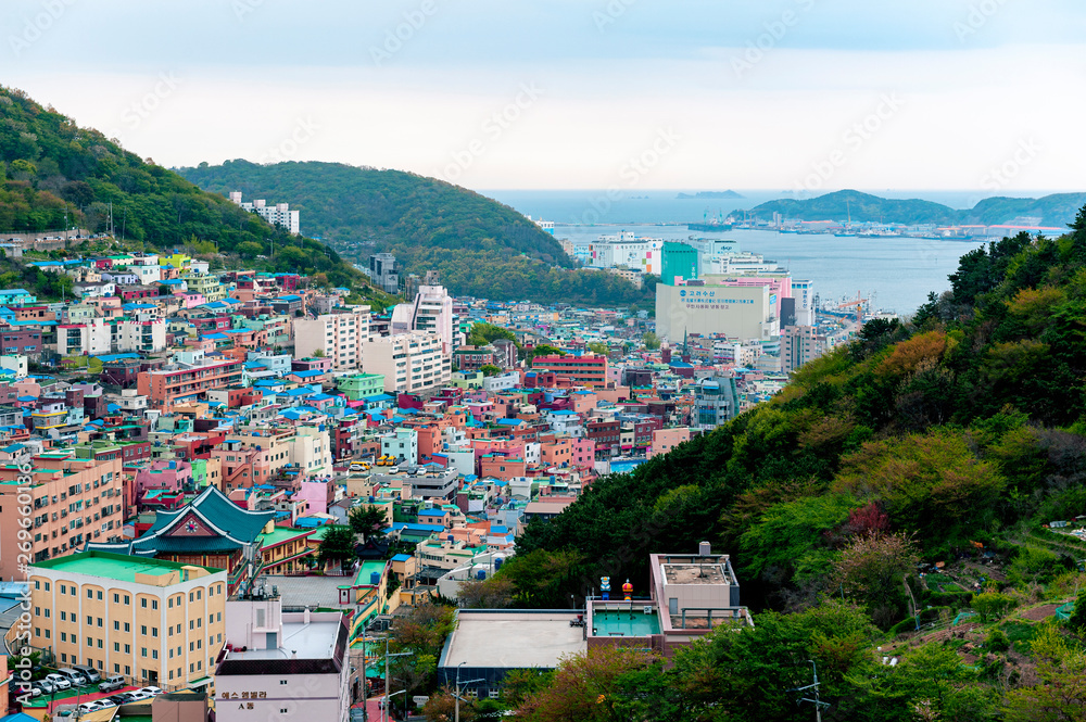 Fototapeta premium Scenic landscape of Gamcheon Culture Village, colorful and artistic tourist attraction with brightly painted houses on hillside of coastal mountain in Saha District, Busan, South Korea