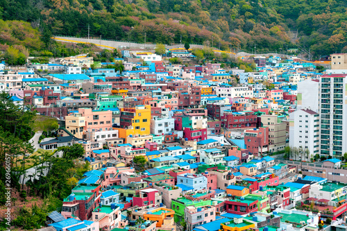 Scenic landscape of Gamcheon Culture Village, colorful and artistic tourist attraction with brightly painted houses on hillside of coastal mountain in Saha District, Busan, South Korea © jiggotravel
