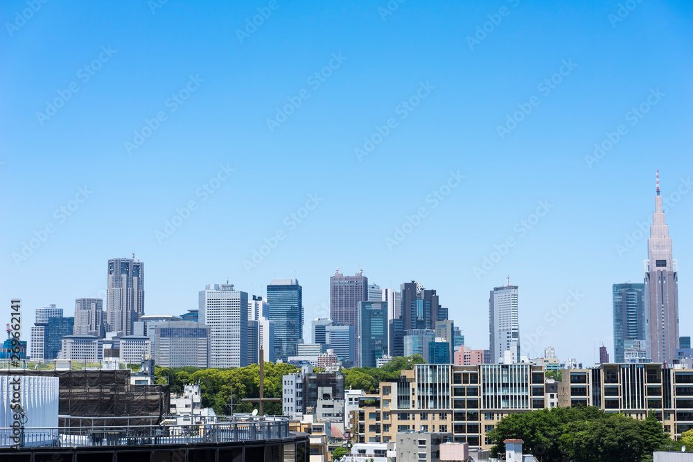 東京の風景　表参道から望む新宿高層ビル群の景観