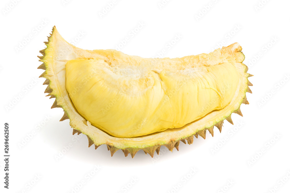 Fototapeta premium durian tropical fruit on white