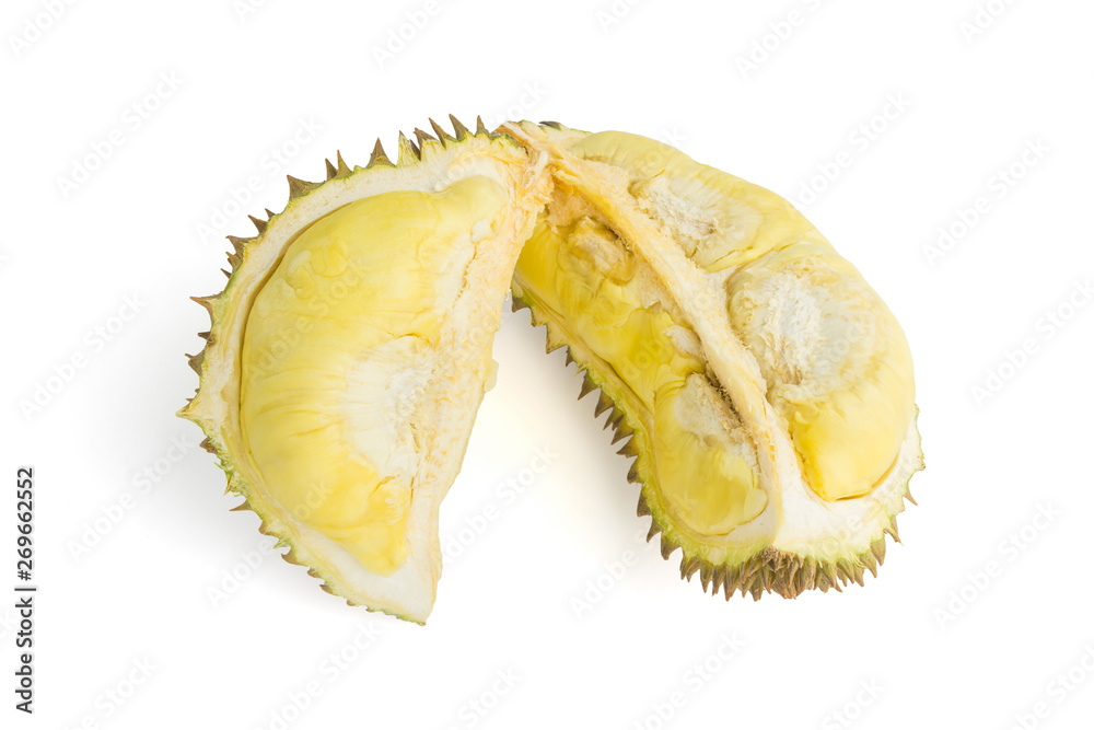 Fototapeta premium durian tropical fruit on white
