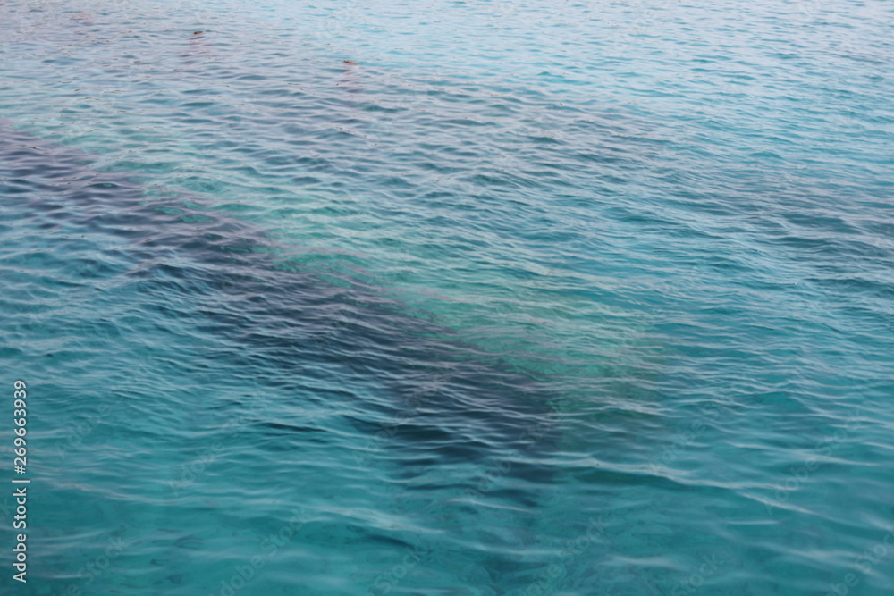 Obraz premium blue water background