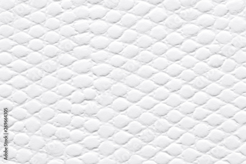 White patterned paper background as part of your interior. © Dmytro Synelnychenko