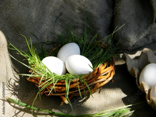 White chicken eggs in basket or nest on burlap background. Grass. County concept