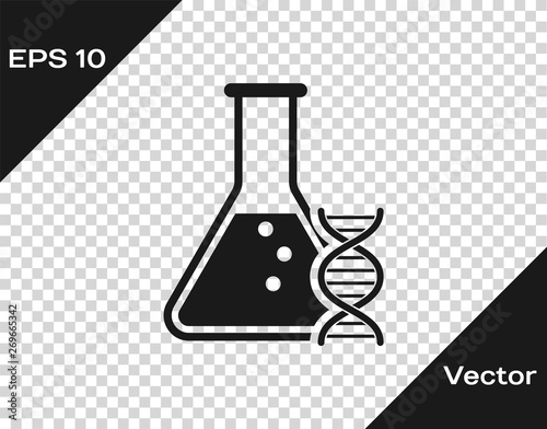 Grey DNA research, search icon isolated on transparent background. Genetic engineering, genetics testing, cloning, paternity testing. Vector Illustration