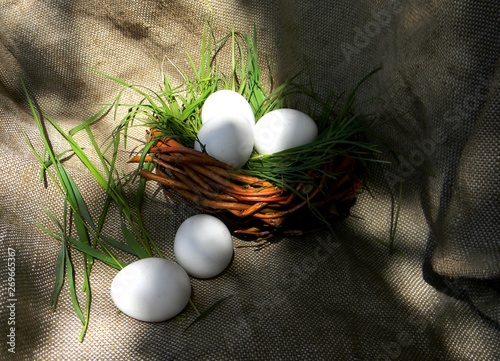 White chicken eggs in basket or nest on burlap background. Grass. County concept
