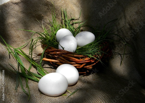 White chicken eggs in basket or nest on burlap background. Grass. County concept