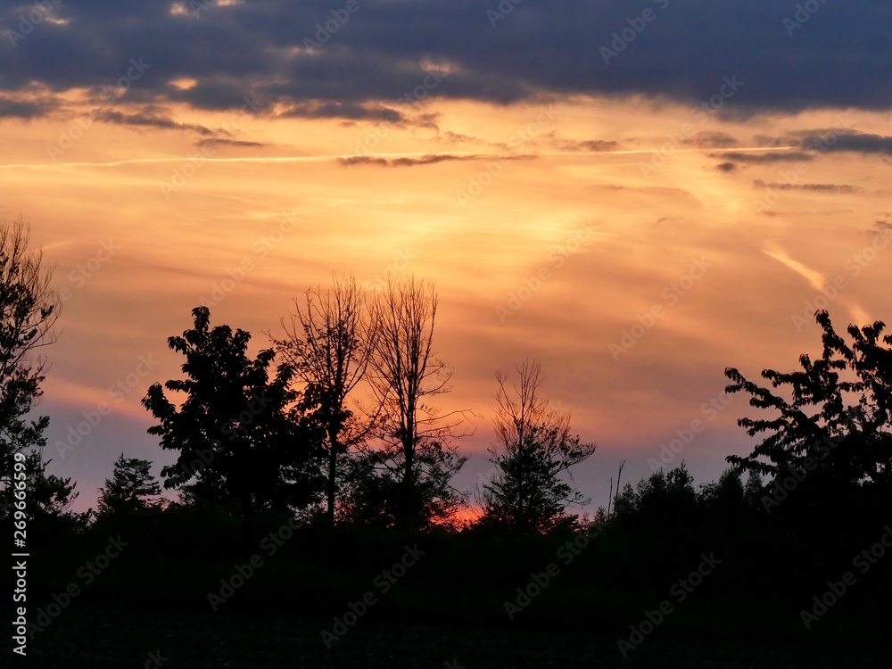 Red sunset over the mountains with a silhouette of a tree