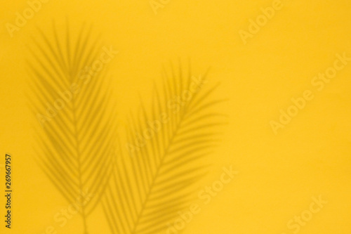 Tropical palm tree leaf shadow on a yellow background. Summertime layout