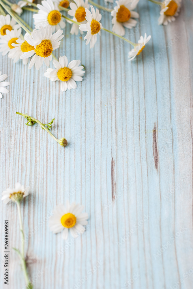 Obraz premium Bouquet of freshly picked camomile flowers on wooden background