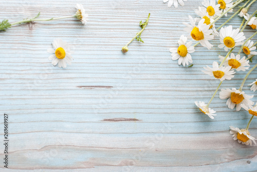 Bouquet of freshly picked camomile flowers on wooden background