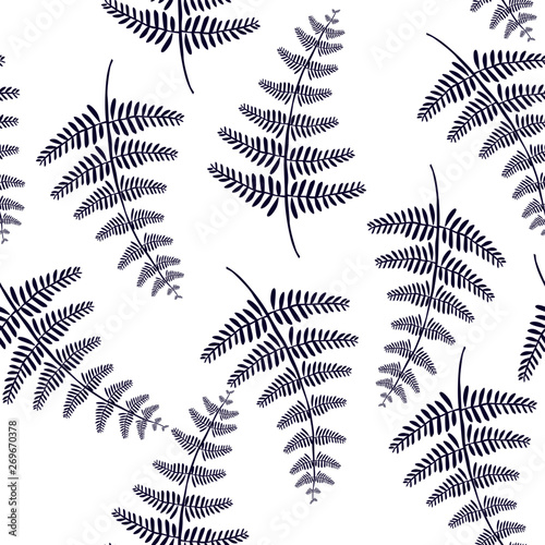 Vector botanical illustration of fern leaf. Isolated outline modern drawing of tropical plant. Set of exotic fern leaves silhouettes. 