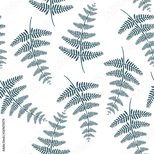 Vector botanical illustration of fern leaf. Isolated outline modern drawing of tropical plant. Set of exotic fern leaves silhouettes. 