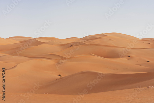 Fototapeta Naklejka Na Ścianę i Meble -  Arabische Sandwüste