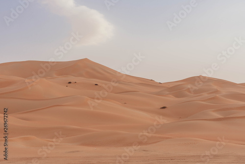 Arabische Sandwüste © SKatzenberger