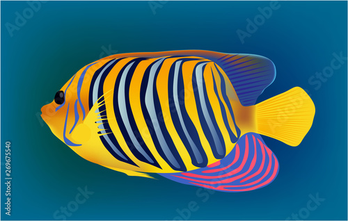 Exotic fish, vector water marine underwater design