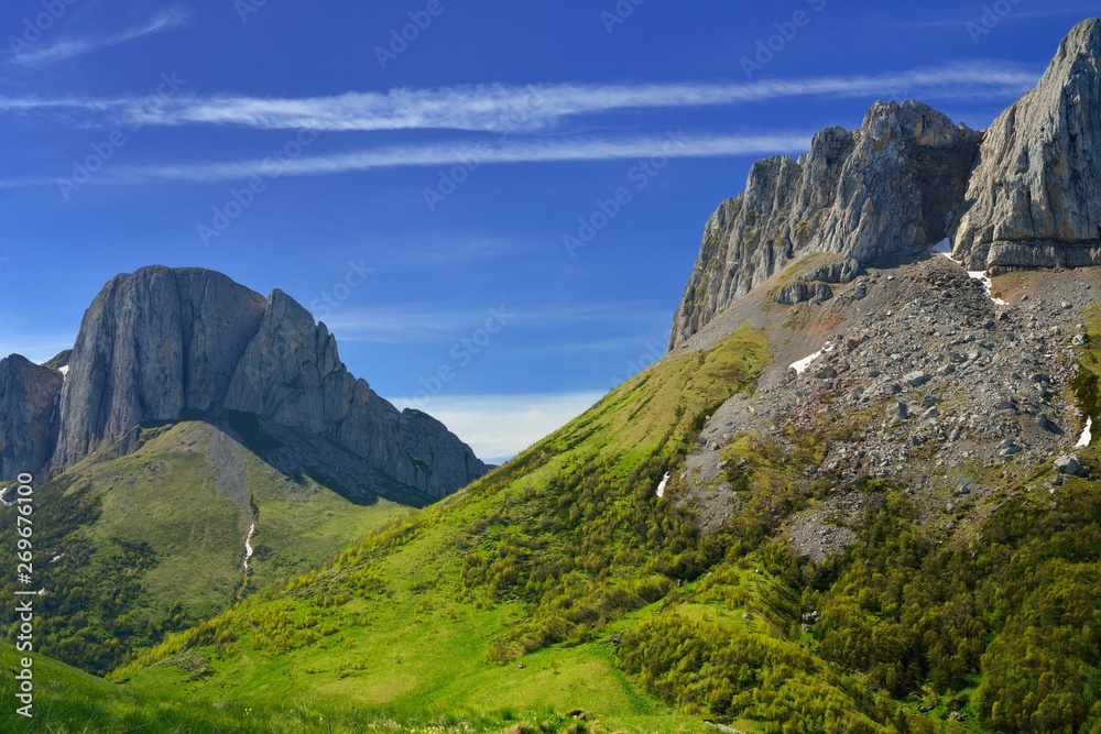 Naklejka premium Pass