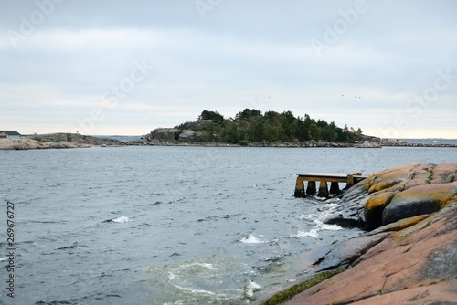 Cloudy autumn weather. Trees on the stony seashore of the Hanko Peninsula. Gulf of Finland, Finland photo