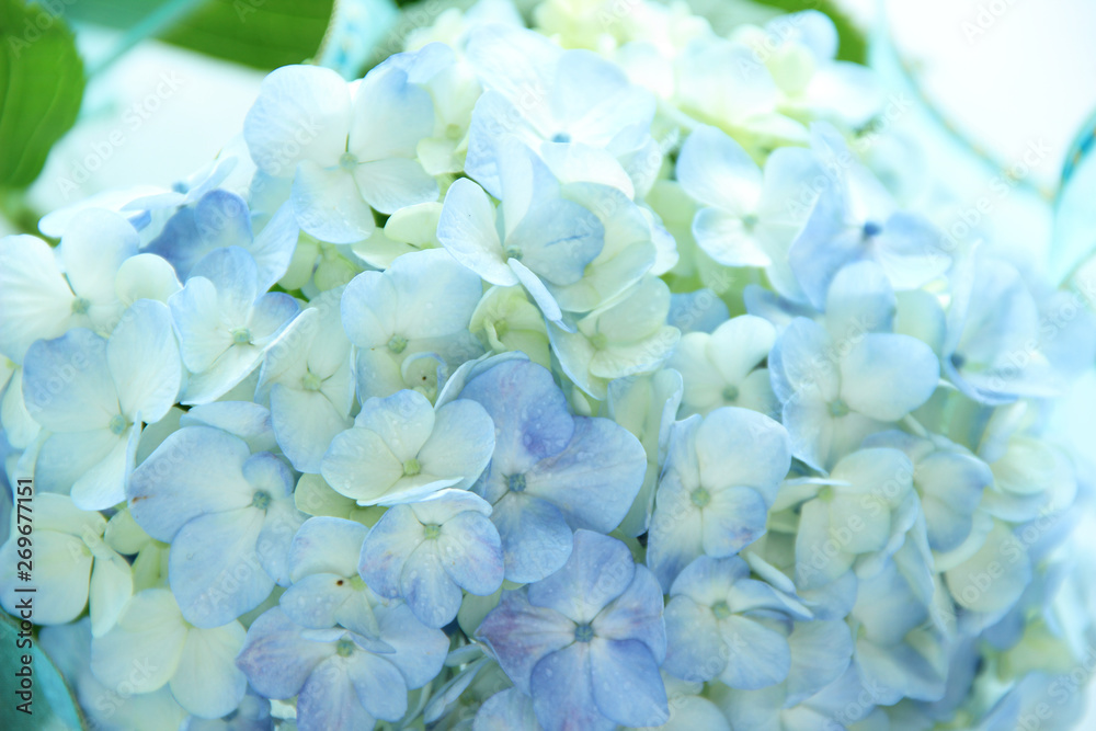 青い紫陽花のブーケ 青い紫陽花のブーケ