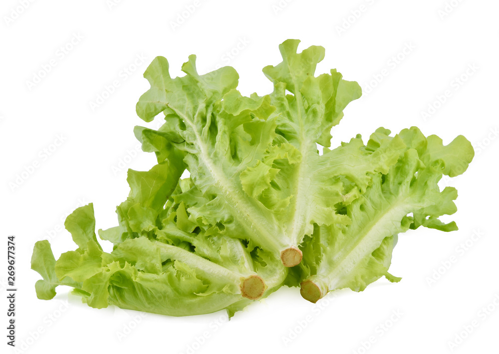 Lettuce isolated on white background Lettuce isolated on white background