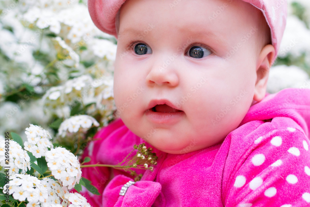 The baby girl is near the Wangut Spyard bush. The girl is dressed in a red blouse in a white mountain and a pink hat. The baby girl is near the Wangut Spyard bush. The girl is dressed in a red blouse in a white mountain and a pink hat.