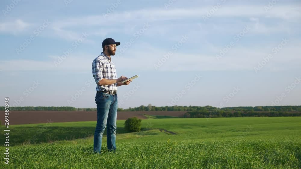 Farmer uses tablet in the field of young green wheat Farmer uses tablet in the field of young green wheat