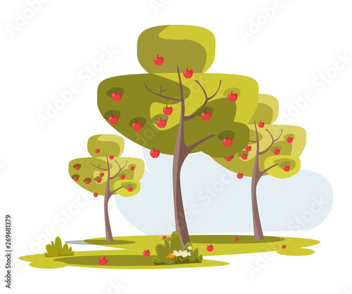 Apple tree garden flat vector illustration