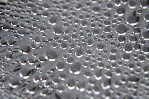 Droplets of water condensed on cellophane