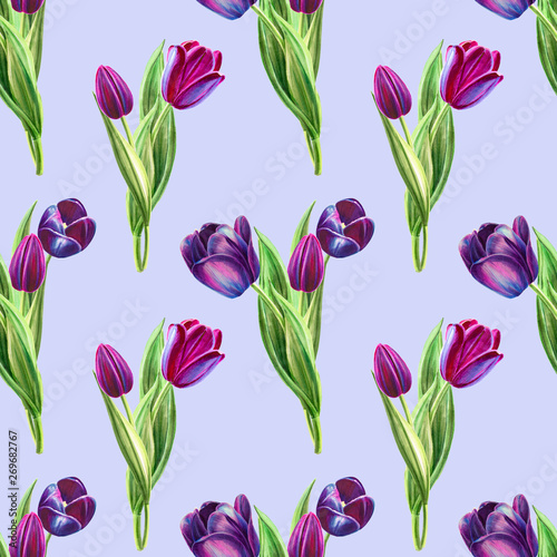 Seamless pattern from beautiful black tulips. Floral collection. Marker drawing. Watercolor painting. Floral composition of design elements. Greeting card. Painted background. Hand drawn illustration.