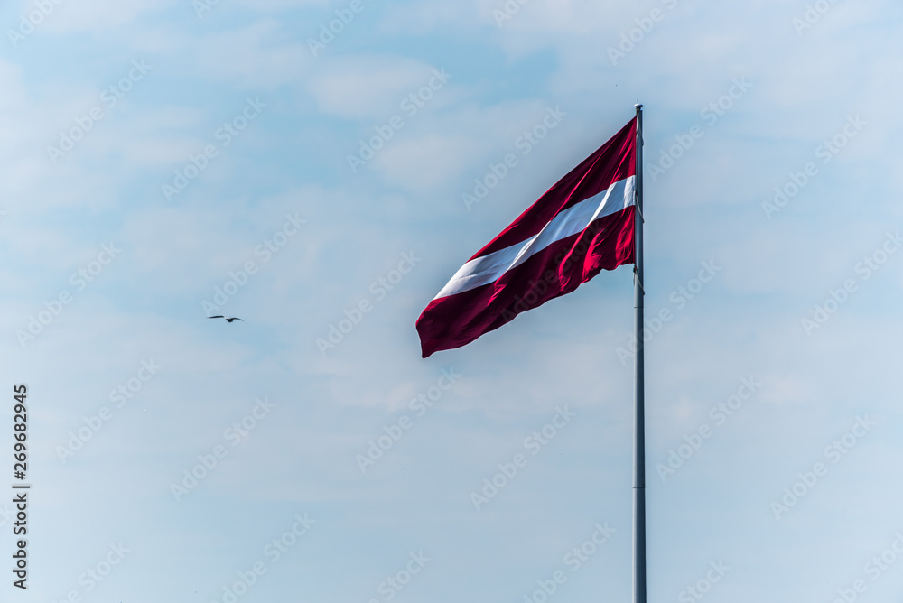 Large Latvian Flag Waving in the Breeze with Seagull in a Blue Sky Large Latvian Flag Waving in the Breeze with Seagull in a Blue Sky