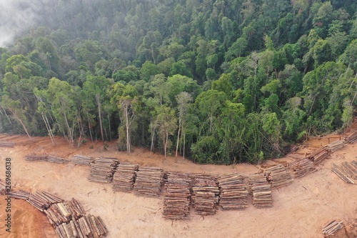 Logging. Aerial drone view of deforestation environmental problem in Malaysia 