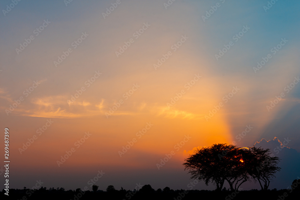 Bright orange sky and light of the sun. - Image