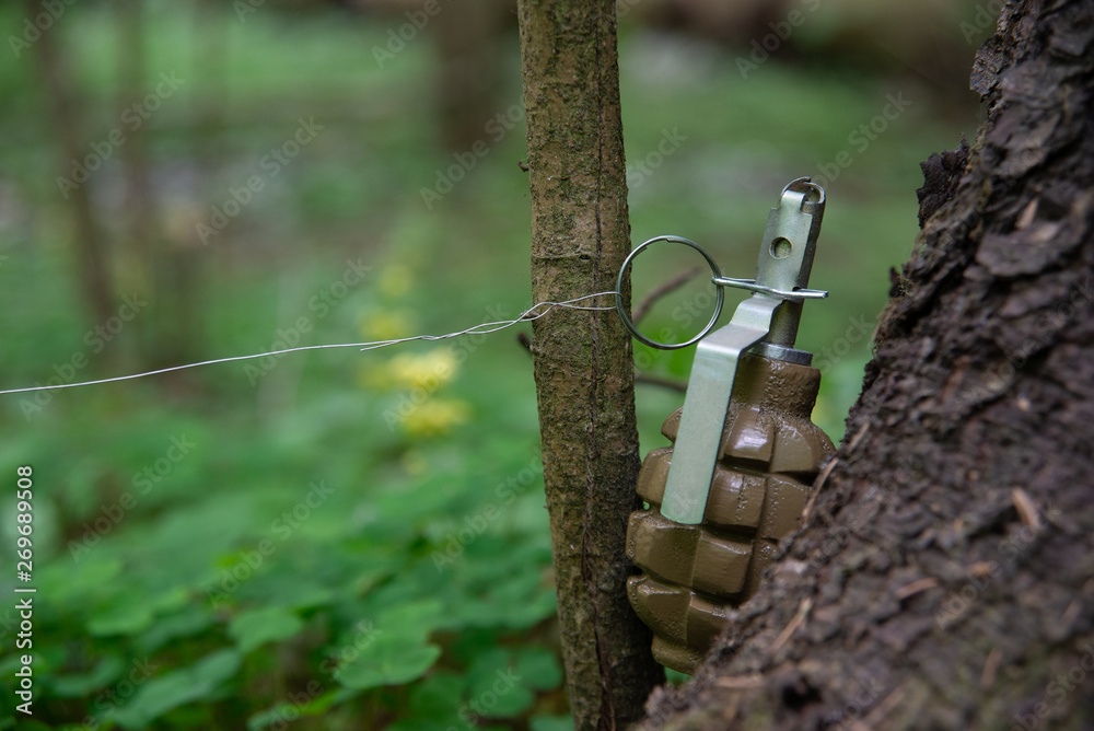 Foto Stock Trap made using hand grenade and wire | Adobe Stock