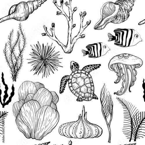 Seamless pattern with marine hand drawn corals and marine life. Black and white © mirifadapt