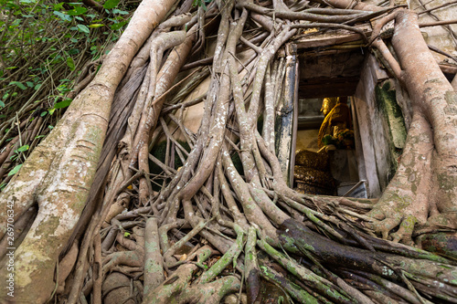 Old golden buddha statue in church,ancient temple of Wat Bang Kung,outside is covered with large tree roots,banyan tree,travel in Amphawa,landmark of Samut Songkram near Bangkok,Thailand photo